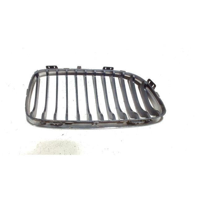 Grillerooster links BMW 3 serie Touring (E91) (2007 - 2013) Combi 318d 16V (N47-D20A)