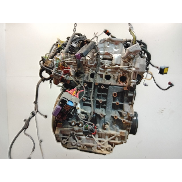 Motor Renault Espace (JK) (2011 - 2015) MPV 2.0 dCi 16V 175 FAP (M9R-859)