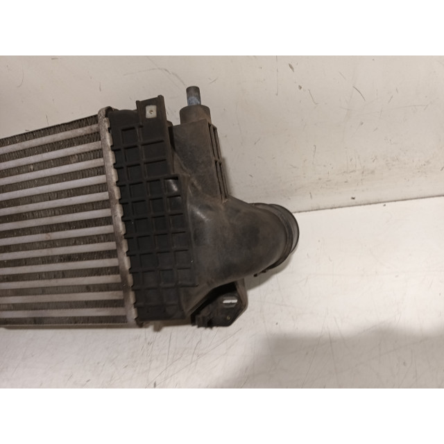 Intercooler radiateur Iveco New Daily IV (2007 - 2011) Chassis-Cabine 35C14G, C14GD, C14GV/P, S14G, S14G/P, S14GD (F1CE0441A)