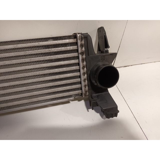 Intercooler radiateur Mercedes-Benz Vito (447.6) (2014 - heden) Van 1.6 109 CDI 16V (OM622.951(R9M-503))