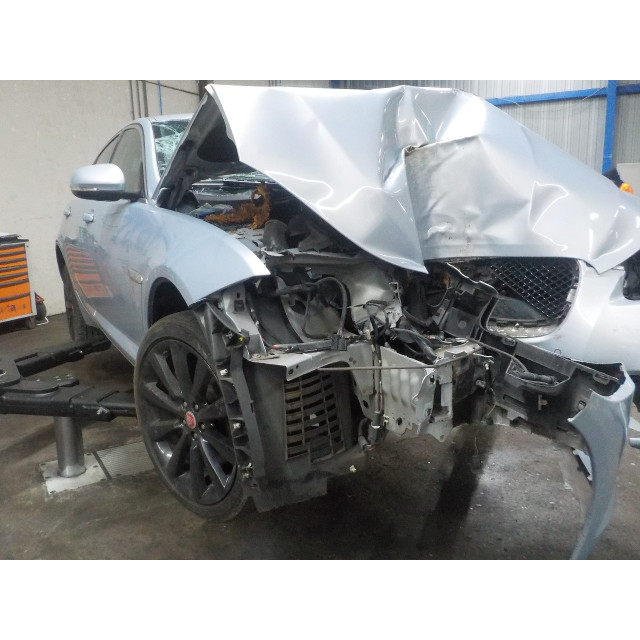 Gordijn airbag links Jaguar XF (CC9) (2011 - 2015) Sedan 2.2 D 16V (224DT)