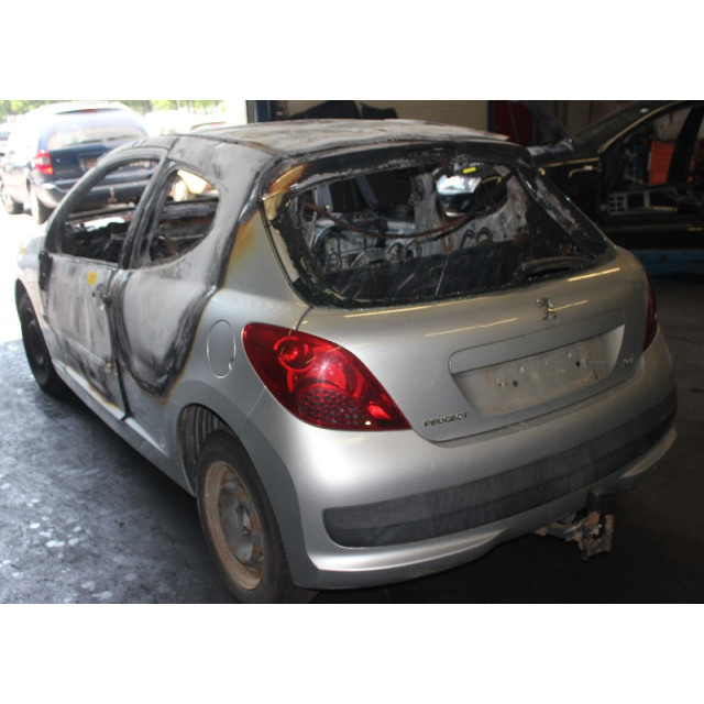 Grille Peugeot 207/207+ (WA/WC/WM) (2006 - 2013) Hatchback 1.4 (TU3A(KFV))
