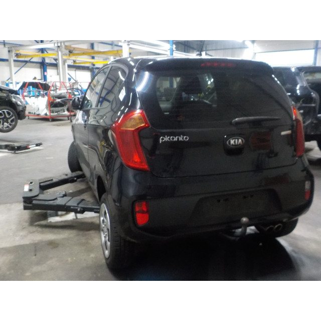 Achterklep Kia Picanto (TA) (2011 - 2017) Hatchback 1.0 12V (G3LA)
