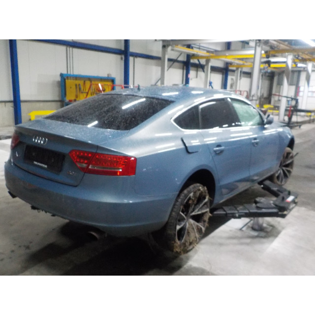 Raammechaniek elektrisch links voor Audi A5 Sportback (8TA) (2009 - 2014) Liftback 2.0 TFSI 16V (CDNB(Euro 5))