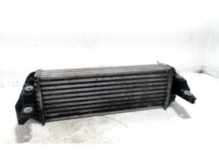Intercooler radiateur Ford Transit Connect (2002 - heden) Van 1.8 TDCi 90 (HCPA)