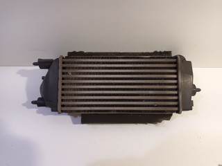 Intercooler radiateur Ford EcoSport (JK8) (2013 - heden) SUV 1.0 EcoBoost 12V 125 (M1JC(Euro 5))