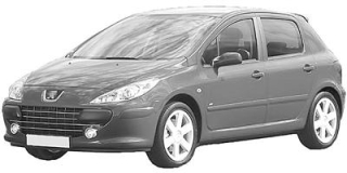 Peugeot 307 (3A/C/D) (2005 - 2009)